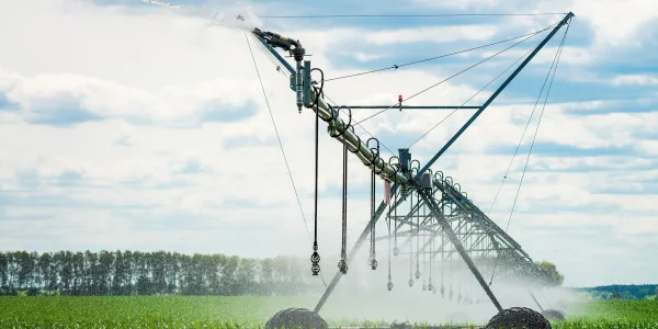 Shutterstock 1012308190