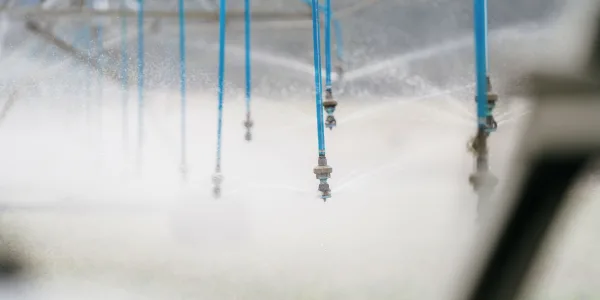 GSEIS Web Res 165 Bevan farm 4 2025