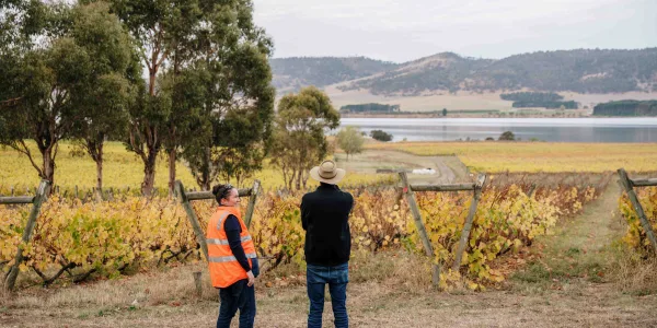 Tasmanian Irrigation GSEIS Photography Web Res 309