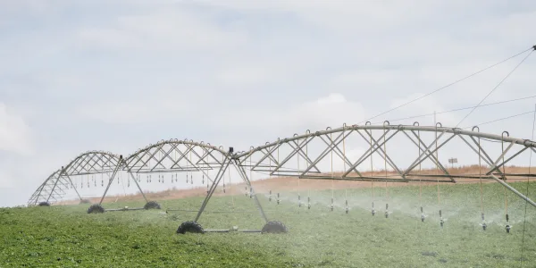 SWISA Images 26 02 2026 153